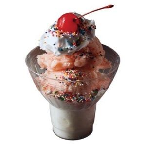9 oz Disposable Plastic Parfait/Ice Cream Cups